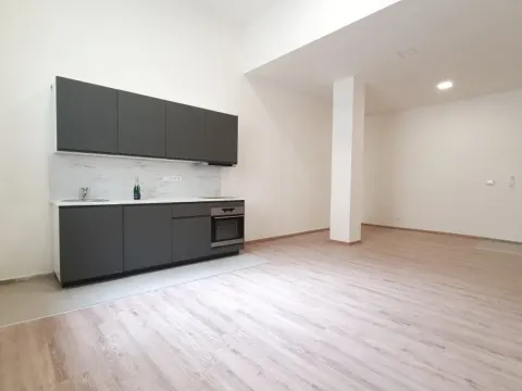 Pronájem bytu 1+kk, Hlučín, Mírové náměstí, 47 m2
