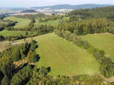 Prodej pole, Chlistov, 4212 m2