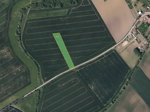 Prodej pole, Pacetluky, 6457 m2