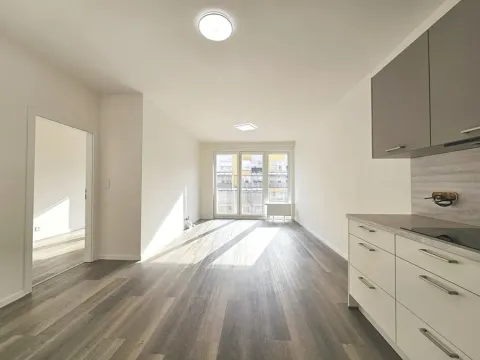 Pronájem bytu 2+kk, Praha - Vysočany, Gerstelova, 52 m2