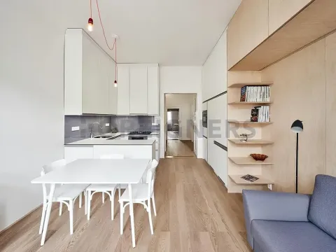 Pronájem bytu 2+kk, Praha - Bubeneč, Na výšinách, 50 m2