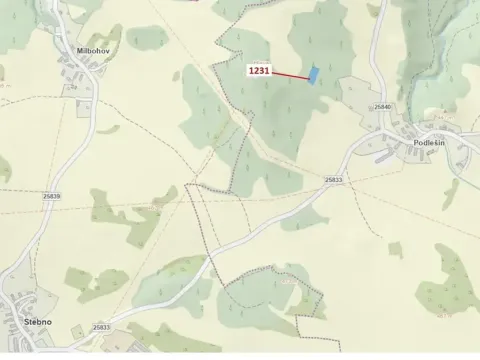 Dražba lesa, Stebno, 1462 m2