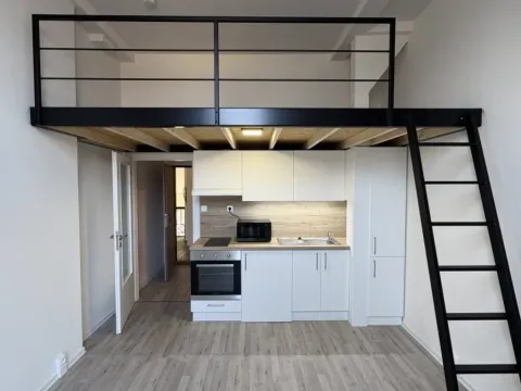 Prodej bytu 1+kk, Ostrava - Přívoz, Palackého, 26 m2