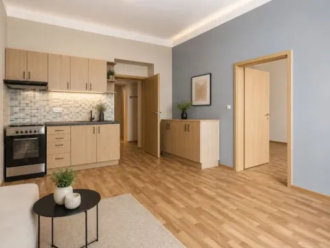 Prodej bytu 2+kk, Praha - Žižkov, Hartigova, 67 m2