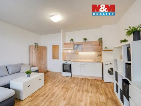 Pronájem bytu 1+kk, Plzeň - Severní Předměstí, Sokolovská, 27 m2