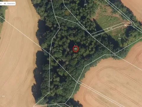 Prodej lesa, Rychnov na Moravě, 5546 m2