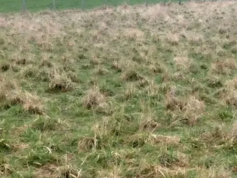 Prodej louky, Polom, 3371 m2