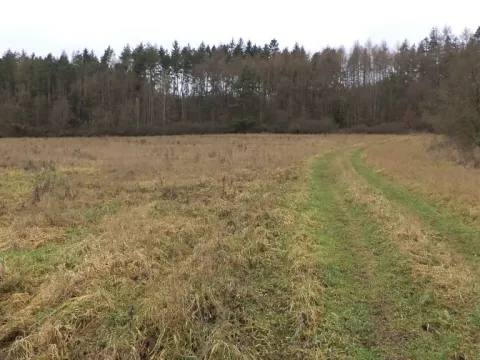 Prodej pole, Srby, 7890 m2