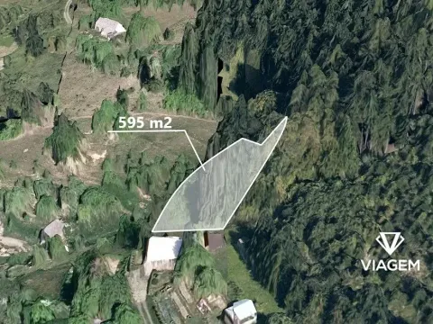 Prodej lesa, Vsetín, Rokytnice, 595 m2