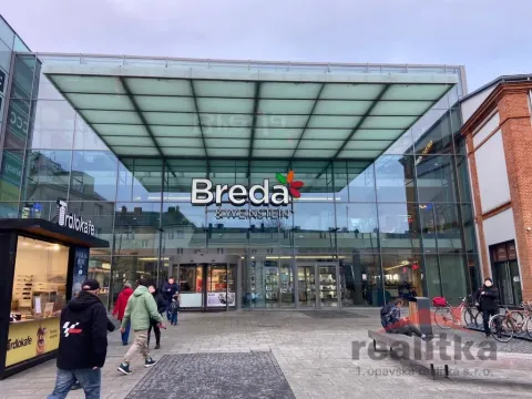 Pronájem obchodního prostoru, Opava - Město, U Fortny, 265 m2