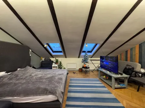 Prodej bytu 1+kk, Praha - Vinohrady, Sázavská, 45 m2