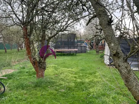 Prodej zahrady, Olomouc, 985 m2