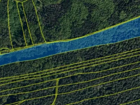 Prodej lesa, Kaňovice, 25807 m2