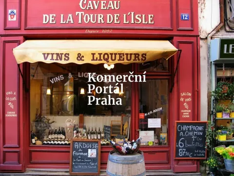 Pronájem obchodního prostoru, Praha, Vodičkova, 273 m2