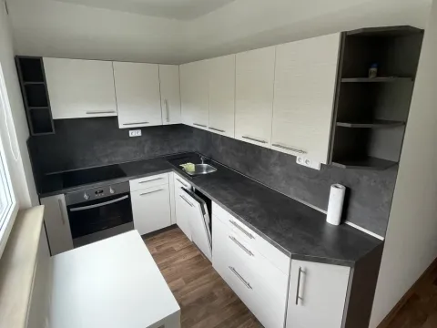 Pronájem bytu 2+1, Cheb, 17. listopadu, 49 m2