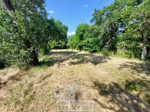 Pronájem zahrady, Krnov - Pod Bezručovým vrchem, Bruntálská, 400 m2