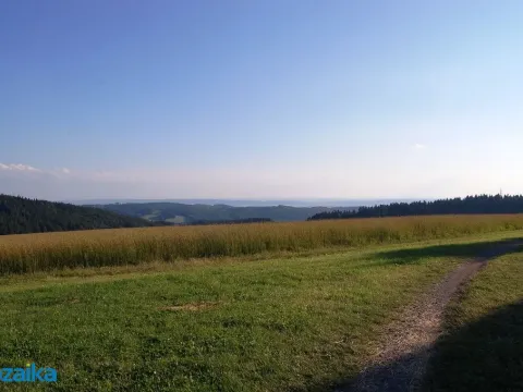 Prodej louky, Výprachtice, 867 m2