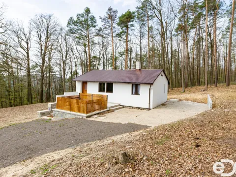 Prodej chaty, Krňany - Třebsín, 51 m2