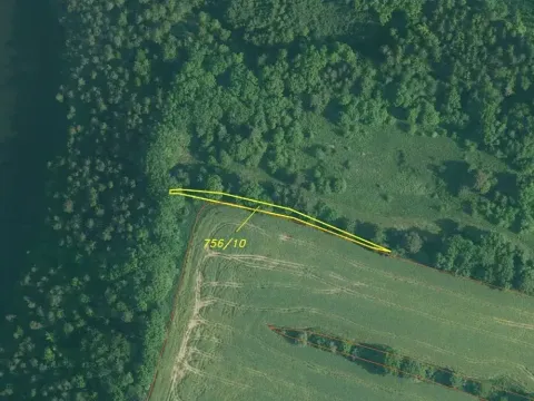 Dražba louky, Hluboká nad Vltavou, 3163 m2