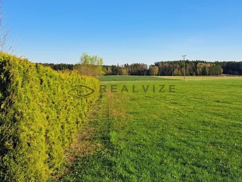 Prodej pozemku, Řípec, 6742 m2