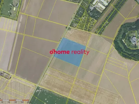 Prodej pole, Křelov-Břuchotín, 31871 m2