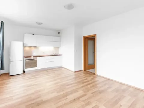 Pronájem bytu 1+kk, Družec, Na Maninách, 41 m2