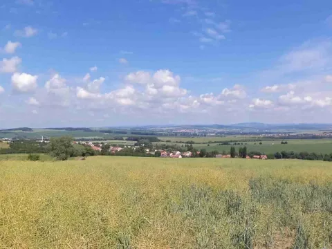 Dražba louky, Slavkov, 8978 m2