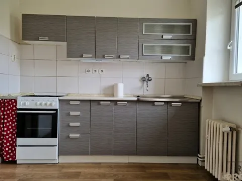 Pronájem bytu 2+1, Hodonín, J. Suka, 55 m2