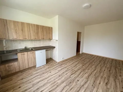 Pronájem bytu 1+kk, Frýdek-Místek, Slezská, 23 m2