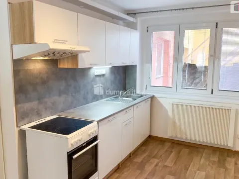 Pronájem bytu 1+1, Kolín - Kolín V, Mlýnská, 40 m2