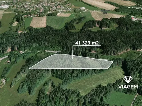 Prodej lesa, Loužnice, 41323 m2