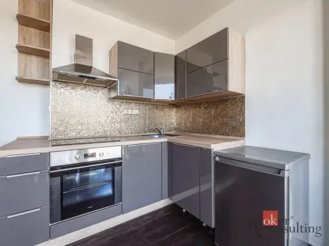 Pronájem bytu 2+1, Plzeň - Litice, Klatovská, 40 m2