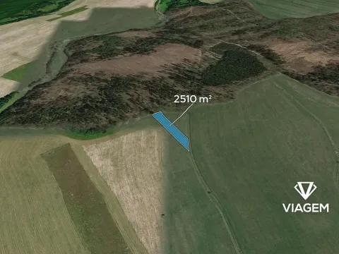 Prodej pole, Nové Sady, 2510 m2