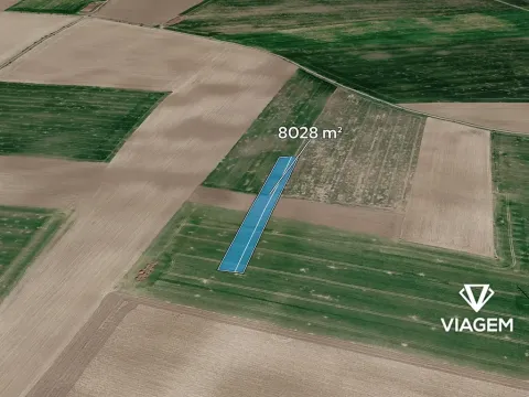 Prodej podílu pole, Trojovice, 4014 m2