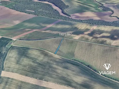 Prodej podílu pole, Šitbořice, 368 m2