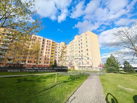 Prodej bytu 4+1, České Budějovice, Netolická, 85 m2