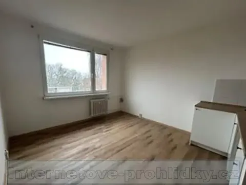 Pronájem bytu 1+kk, Chlumec, Zákoutí, 19 m2