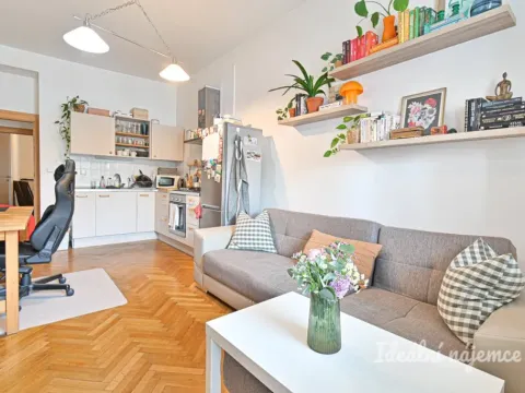 Pronájem bytu 2+kk, Brno, Příkop, 44 m2