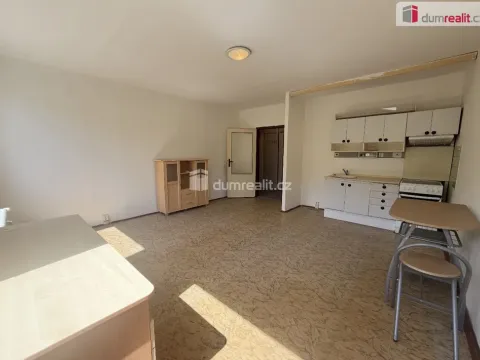 Pronájem bytu 1+kk, Ústí nad Labem - Všebořice, Spartakiádní, 32 m2