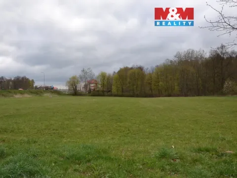 Prodej louky, Náchod - Běloves, 20495 m2