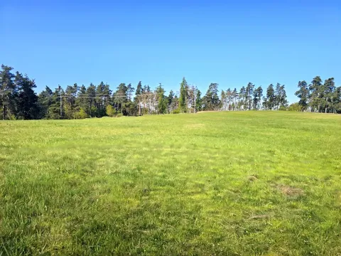 Prodej pozemku, Kojatín, 2400 m2