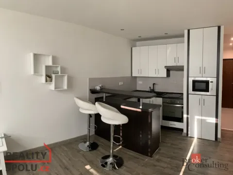 Pronájem bytu 1+kk, Ostrava - Moravská Ostrava, Gen. Píky, 26 m2