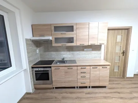 Pronájem bytu 2+kk, Ústí nad Labem - Neštěmice, Mlýnská, 55 m2