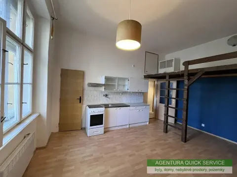 Pronájem bytu 1+kk, Praha - Žižkov, Kubelíkova, 29 m2