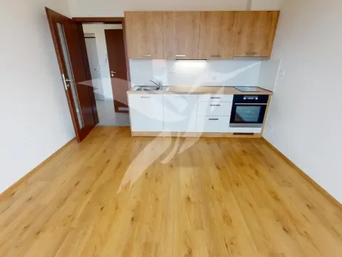 Pronájem bytu 2+kk, Plzeň, Poděbradova, 44 m2