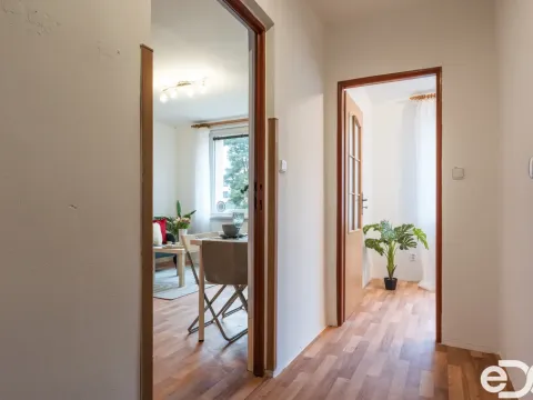 Pronájem bytu 2+kk, Borohrádek, Družstevní, 31 m2