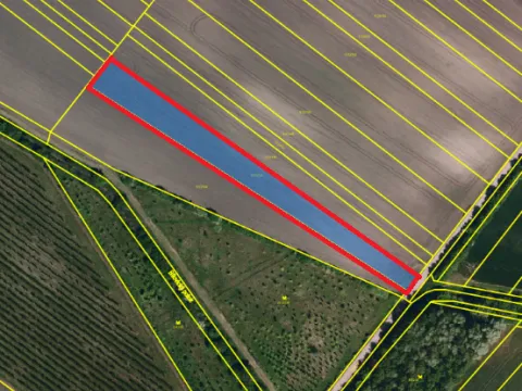 Prodej pole, Velké Bílovice, 4600 m2