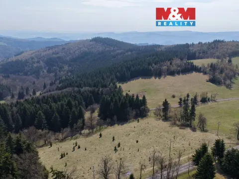 Prodej lesa, Měděnec - Mýtinka, 18821 m2