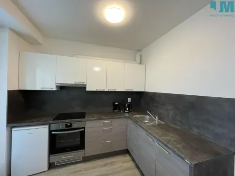 Pronájem bytu 1+kk, Brno, Rumiště, 38 m2