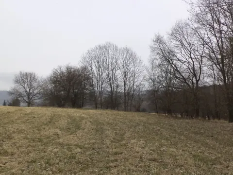 Prodej pole, Malečov - Řetouň, 939 m2